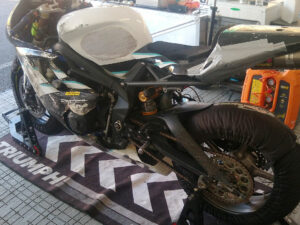 Trudie vs gravel trap